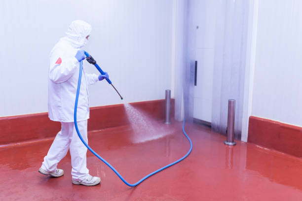 Professional Pressure Washing Services in Bay Park, NY